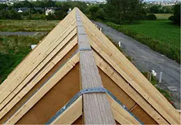 STEICO joist
