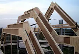 STEICO joist