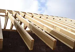 STEICO joist
